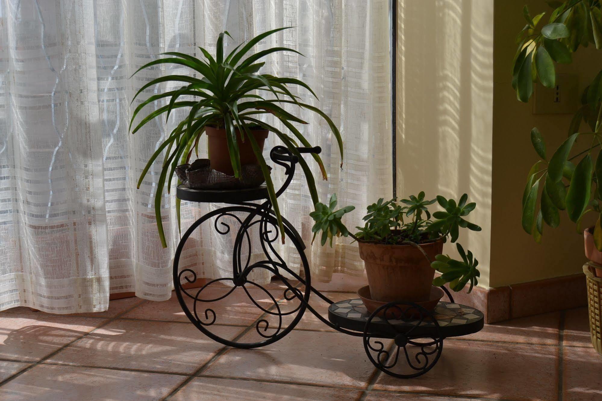 Sant'Agata Li Battiati Bed & Breakfast Marena מראה חיצוני תמונה
